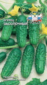 vf0vjqa65bwdr1ulxexjh6seccjjetq4