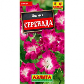 b676bb34e4503182fb7d6ac68f4934ca