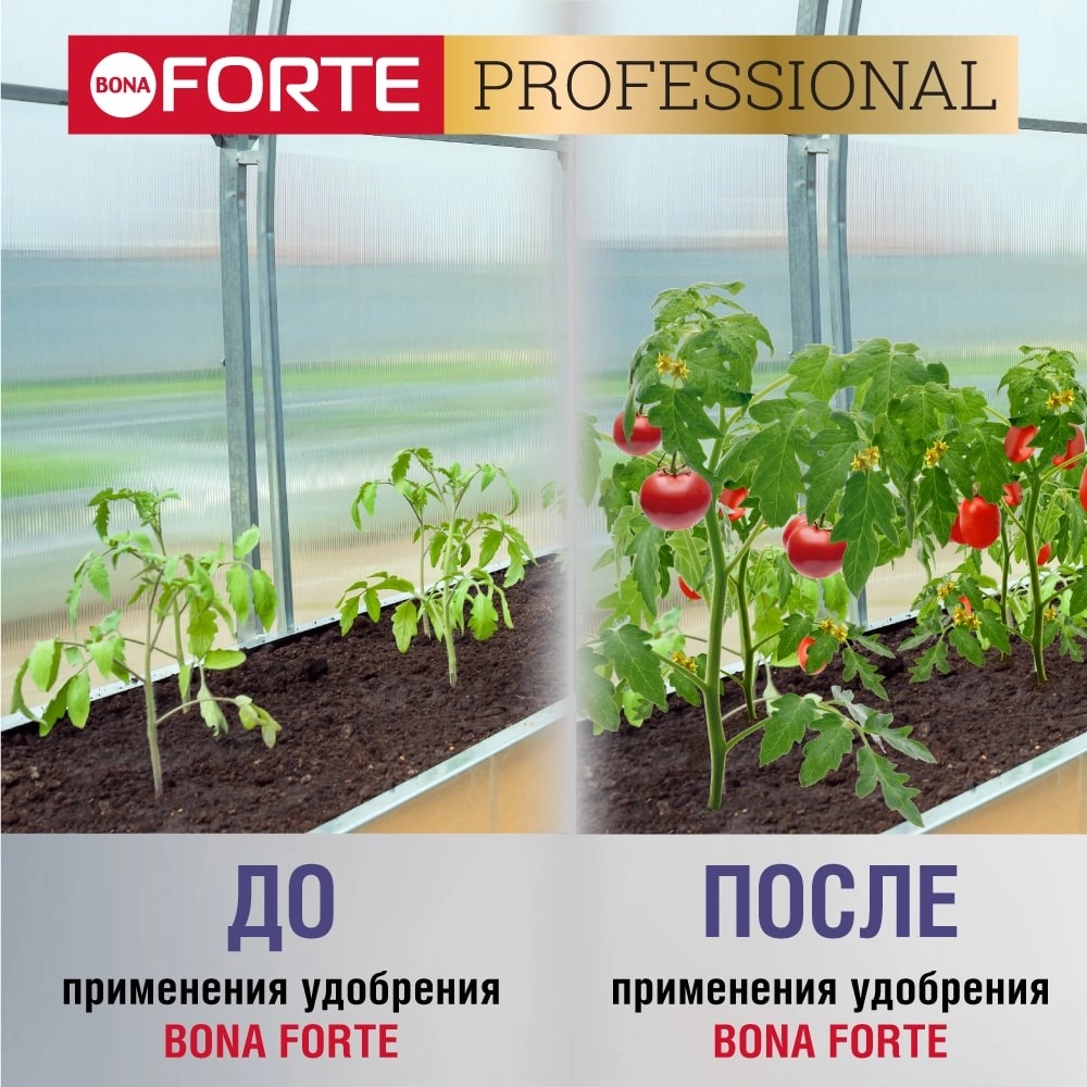 full_rassada_banka_1l_do_posle_1000__1000-min