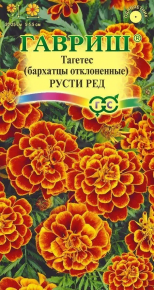 6581792924