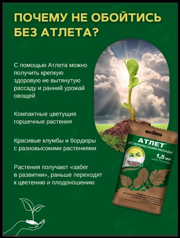 optimize (2)